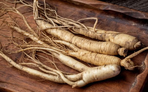 Panax Ginseng 